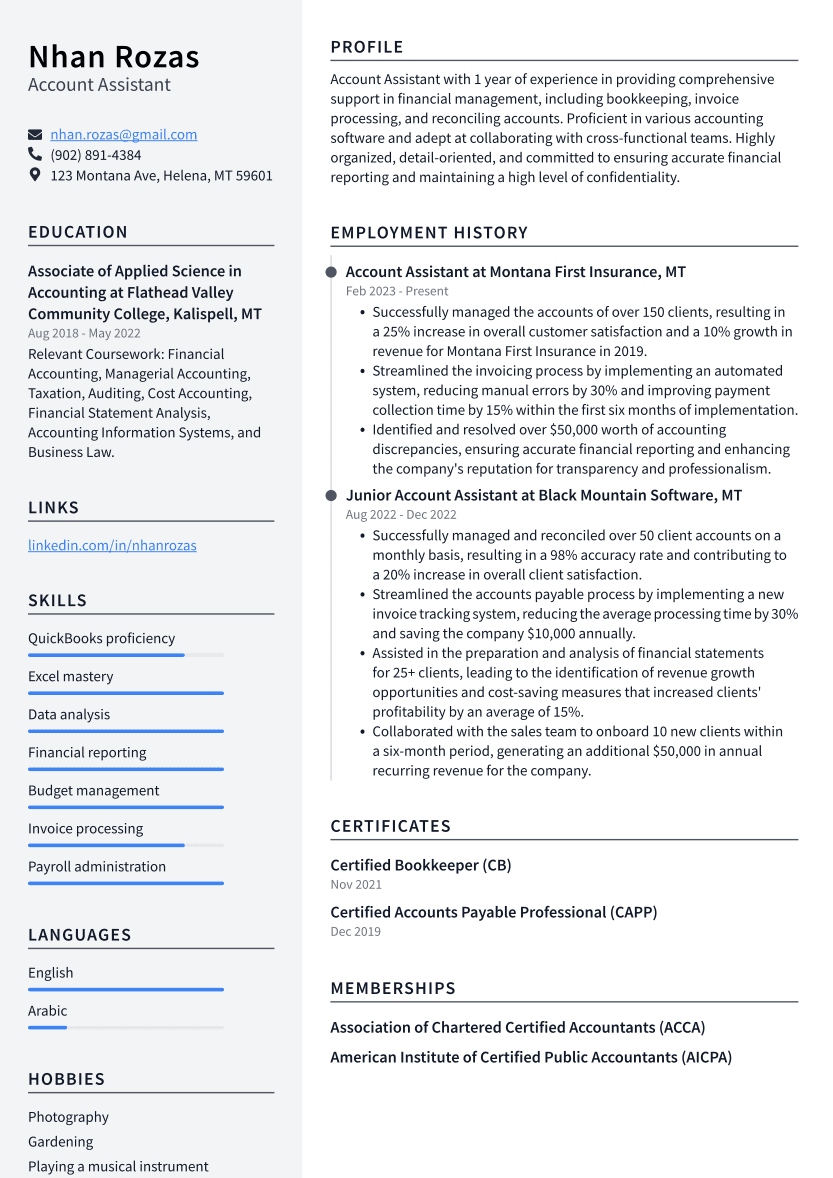 Account Assistant Resume Example