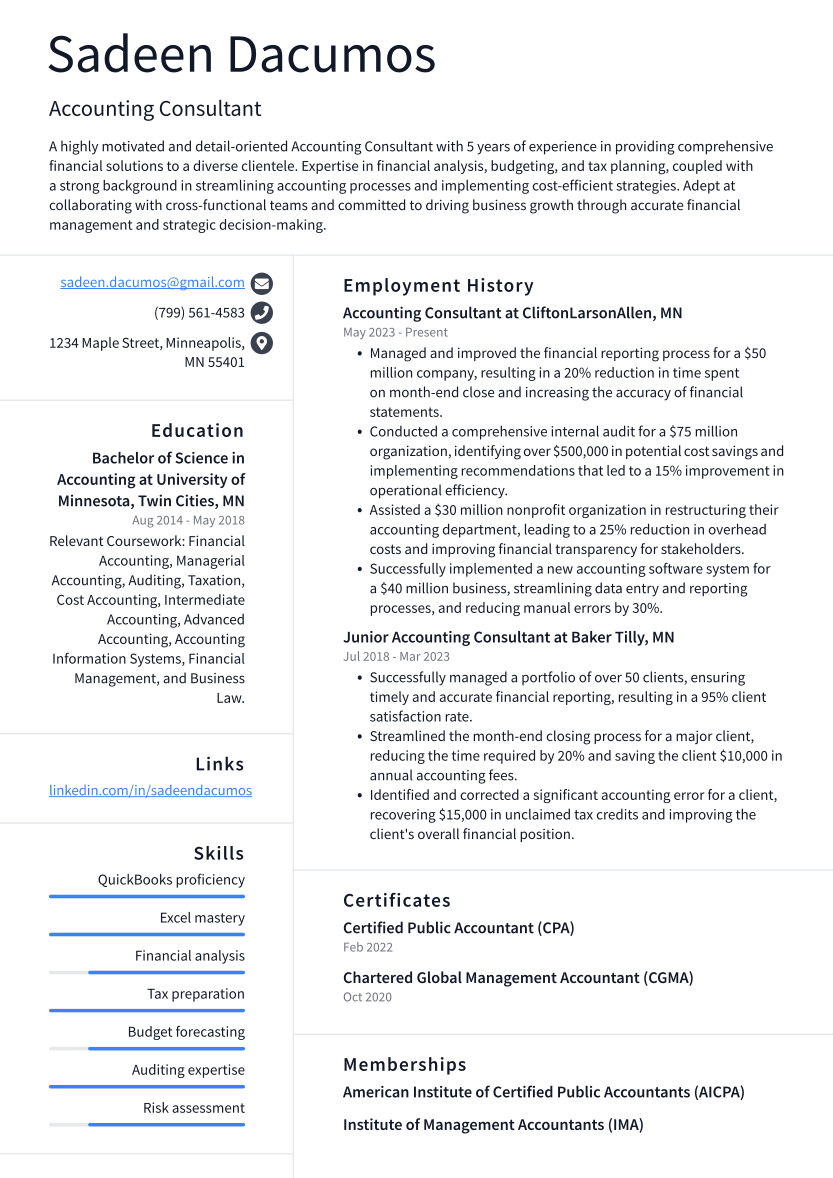 Accounting Consultant Resume Example