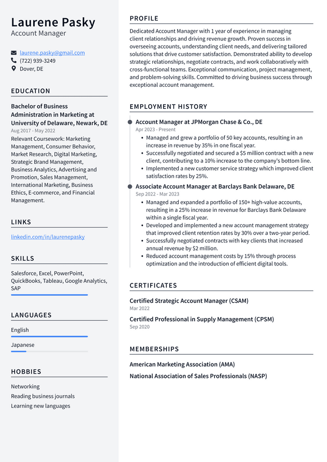 Adobe Account Manager Resume Example