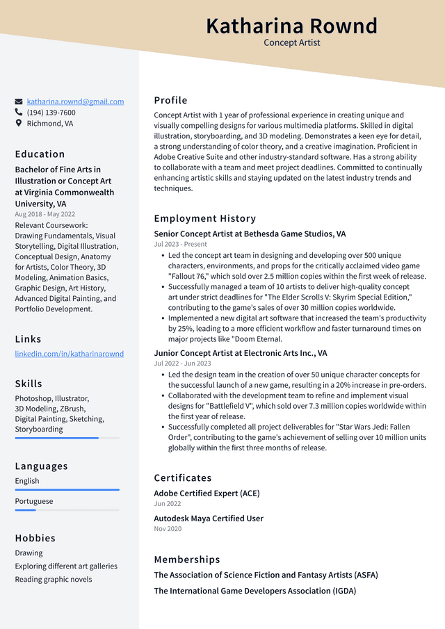 Adobe Concept Artist Resume Example