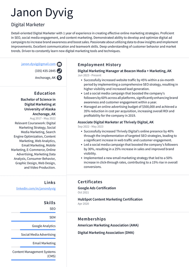 Adobe Digital Marketer Resume Example