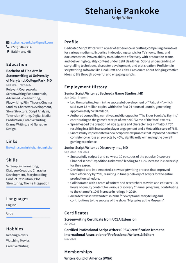 Adobe Script Writer Resume Example