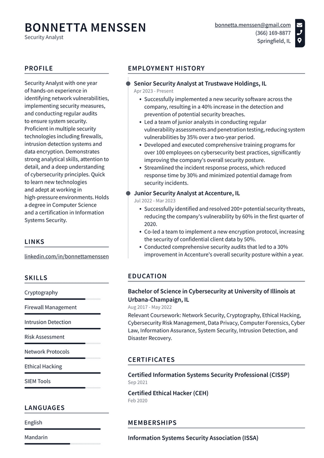 Adobe Security Analyst Resume Example