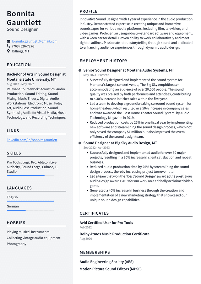 Adobe Sound Designer Resume Example