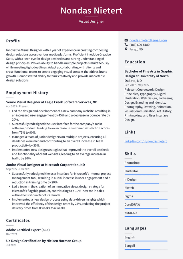 Adobe Visual Designer Resume Example