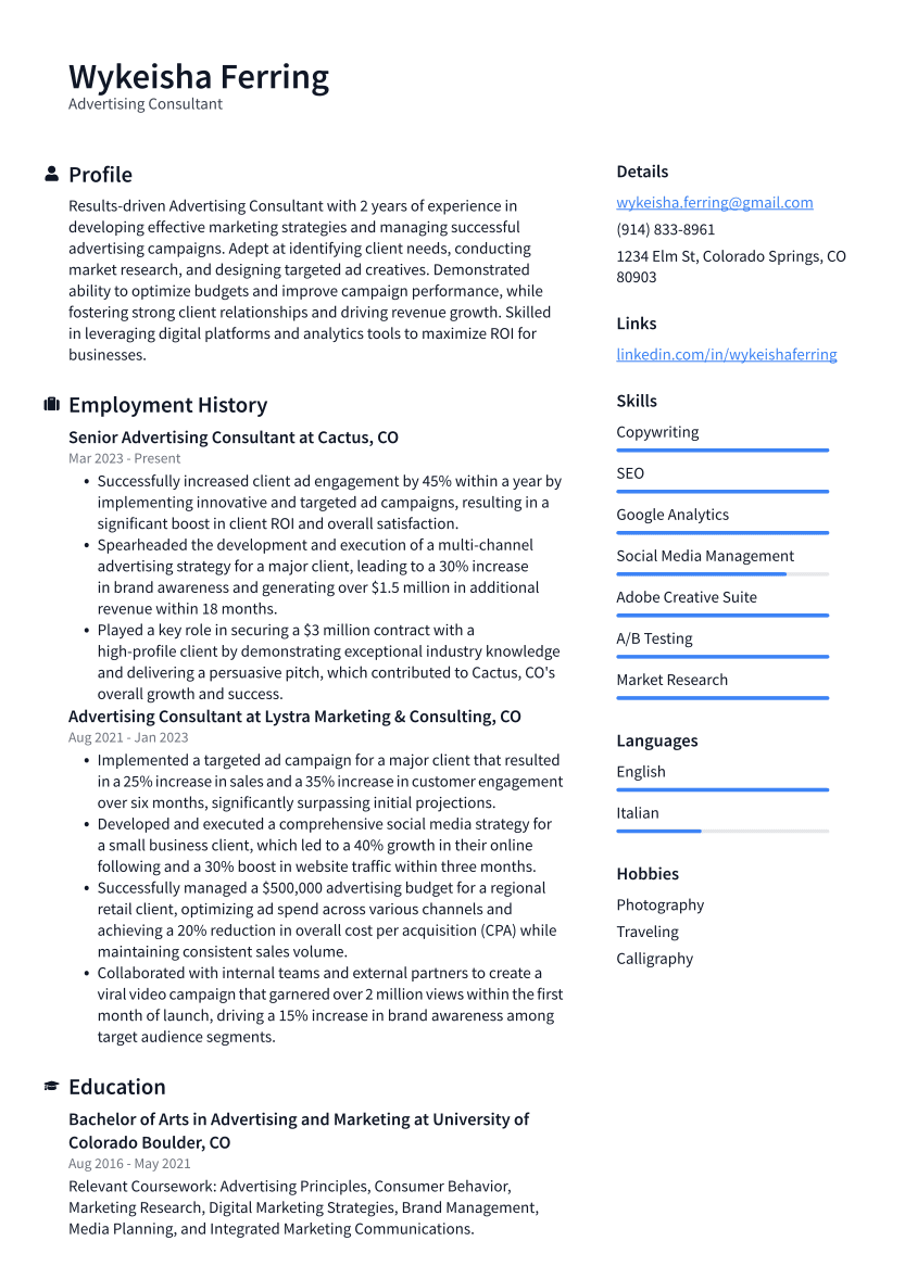 Advertising Consultant Resume Example