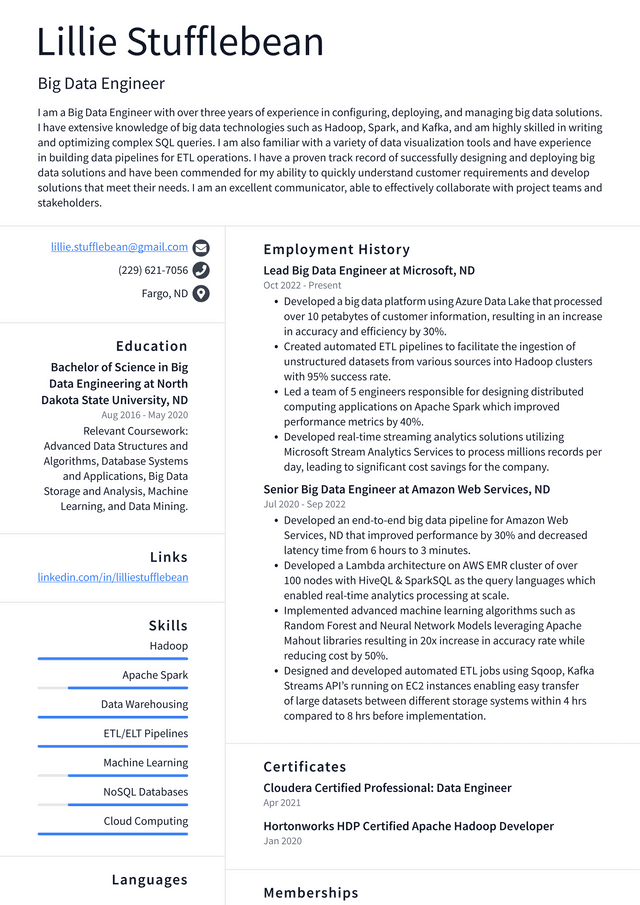 Amazon Big Data Engineer Resume Example