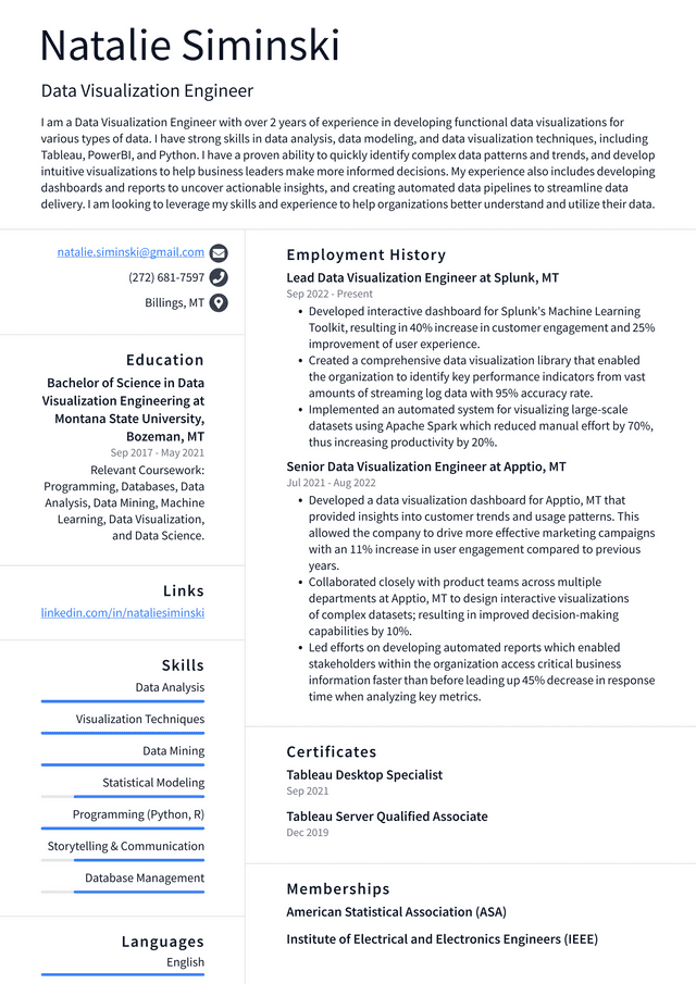 Amazon Data Visualization Engineer Resume Example