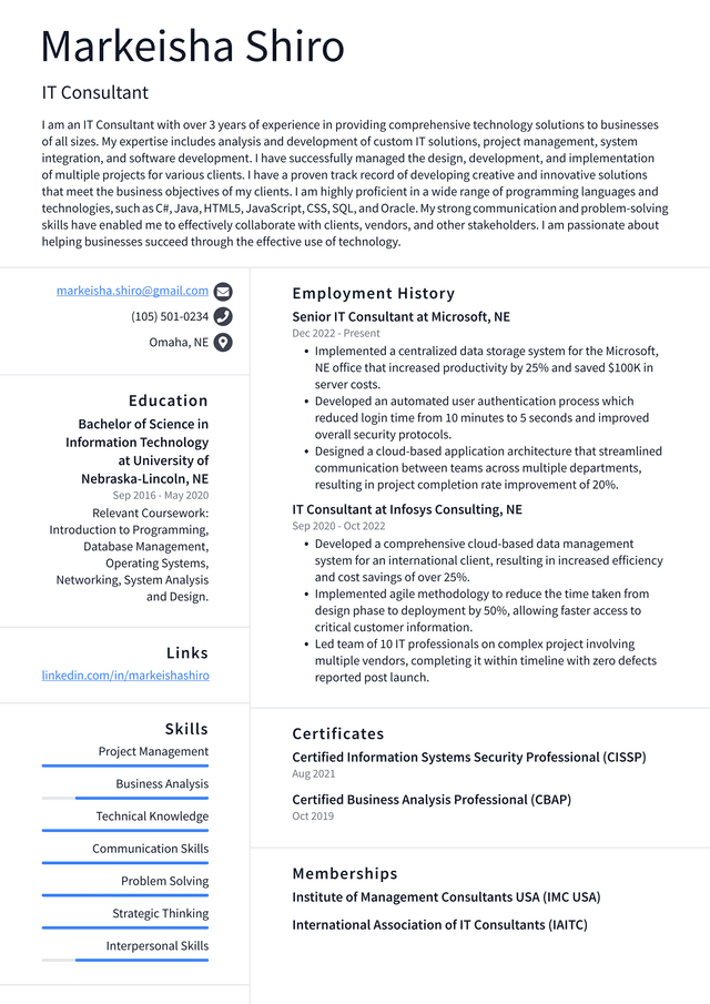 Amazon IT Consultant Resume Example