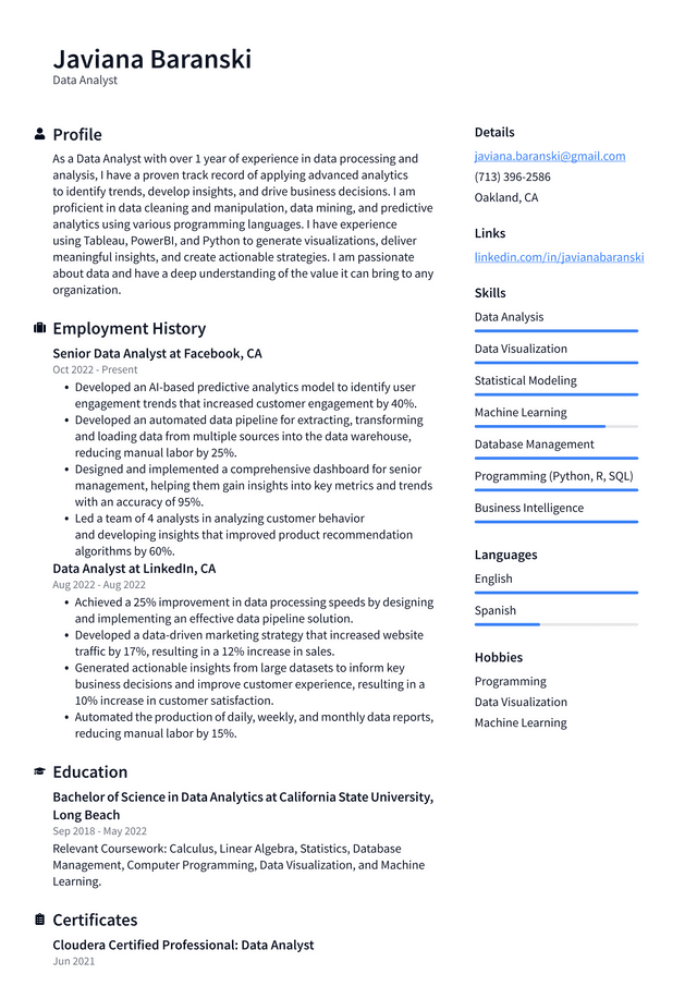 Apple Data Analyst Resume Example