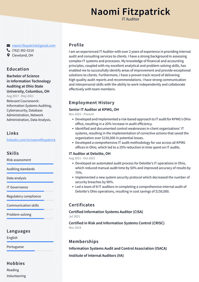 Apple IT Auditor Resume Example