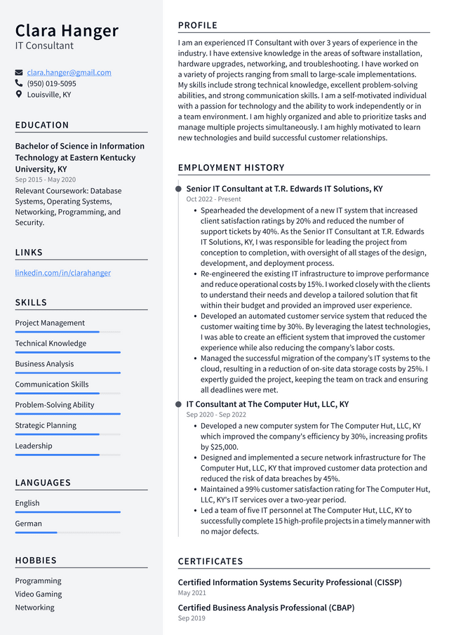 Apple IT Consultant Resume Example