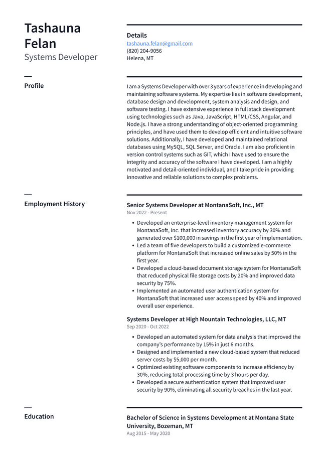 Apple Systems Developer Resume Example