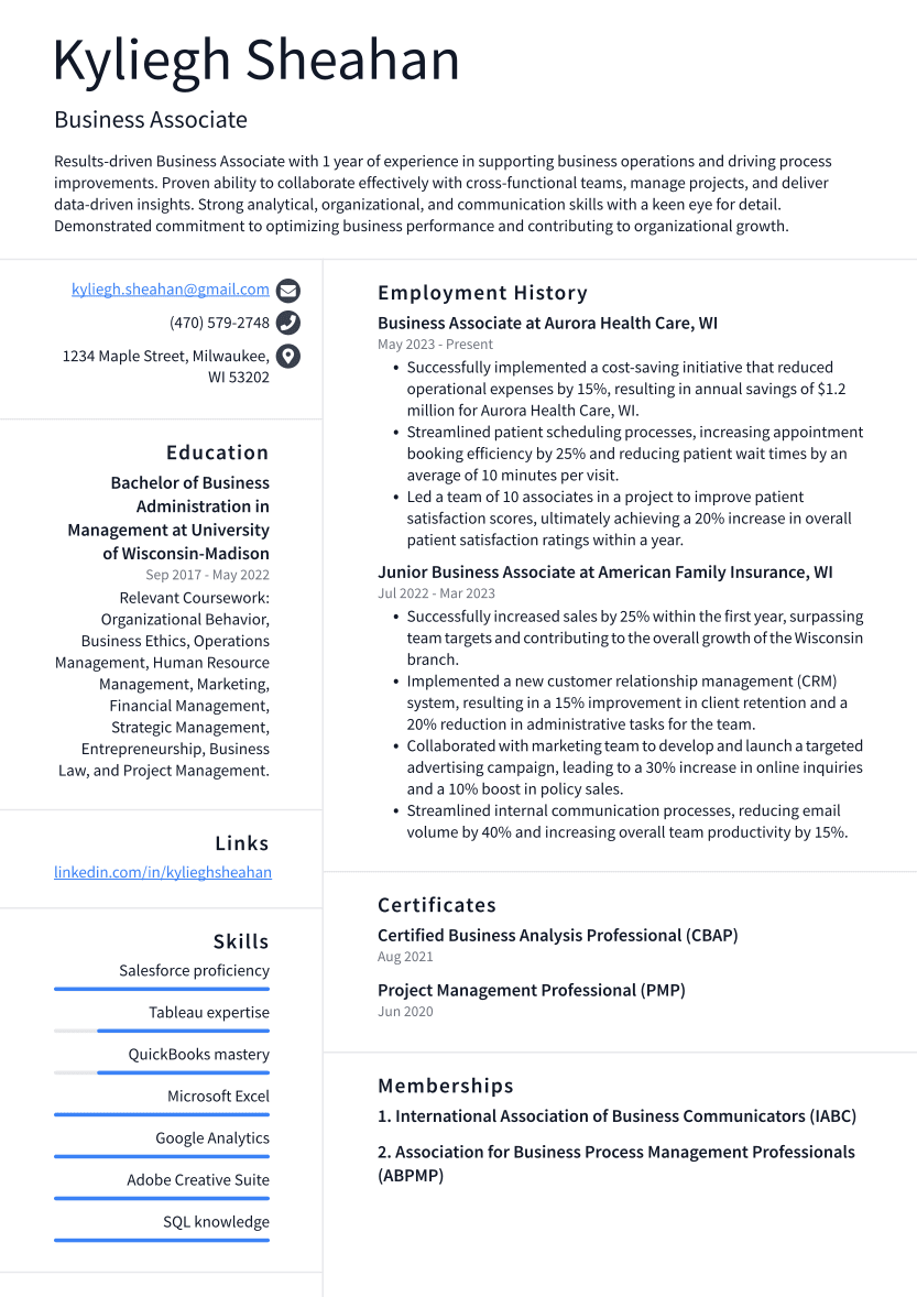 Business Associate Resume Example