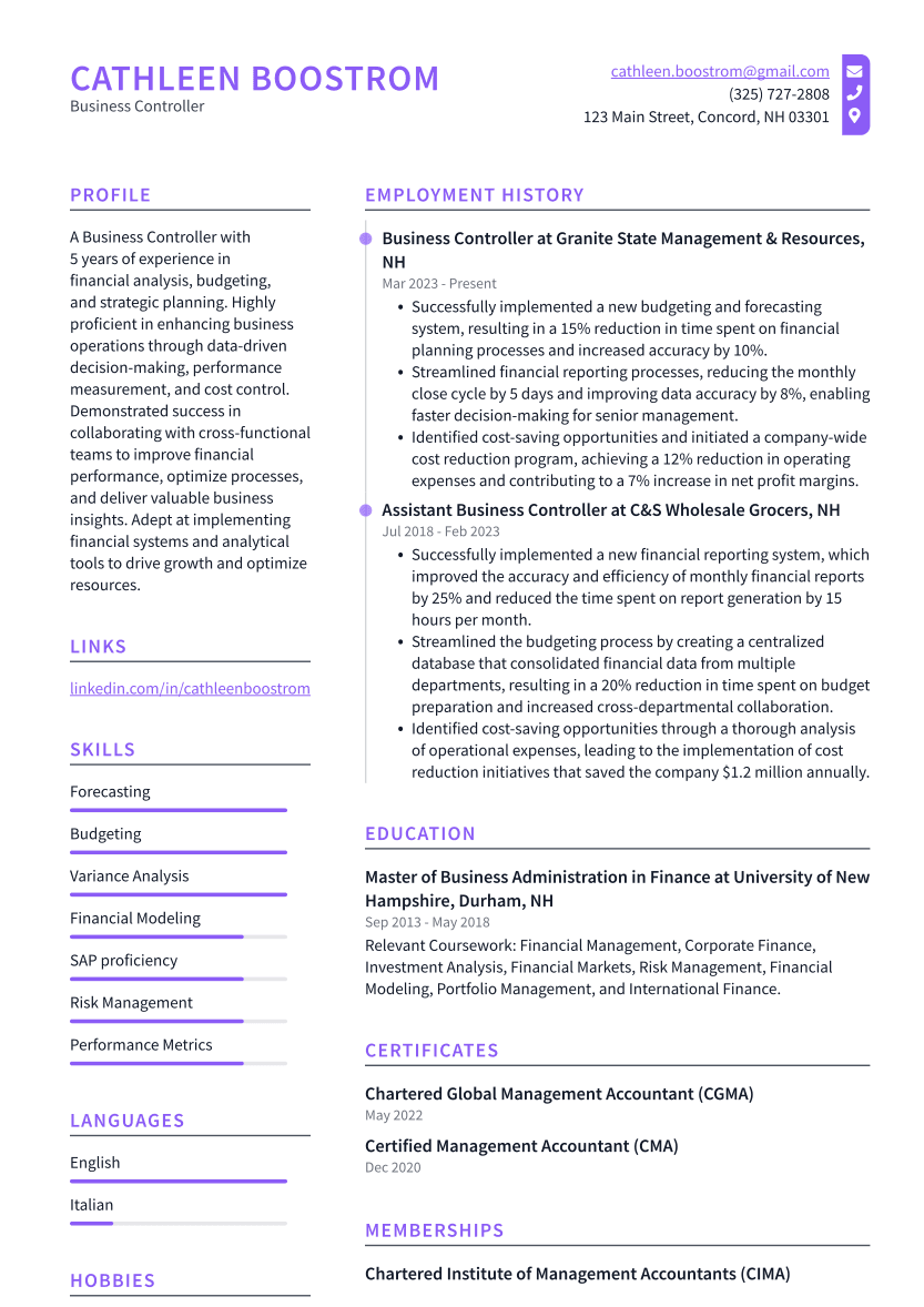 Business Controller Resume Example