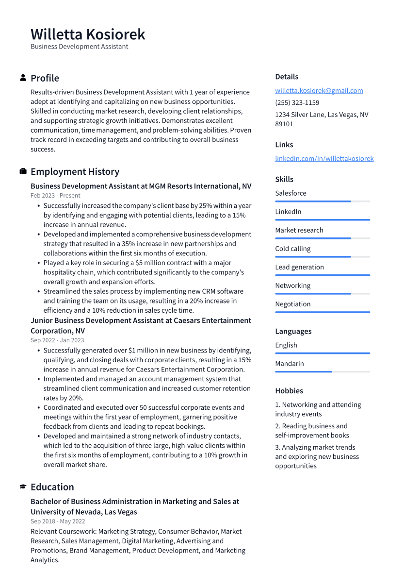 Business Development Assistant Resume Example