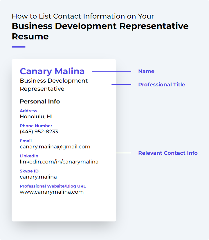 How to List Contact Information for a Business Development Representative Resume