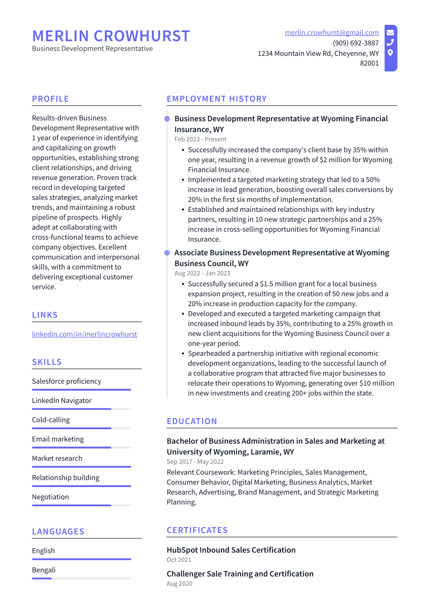 Business Development Representative Resume Example