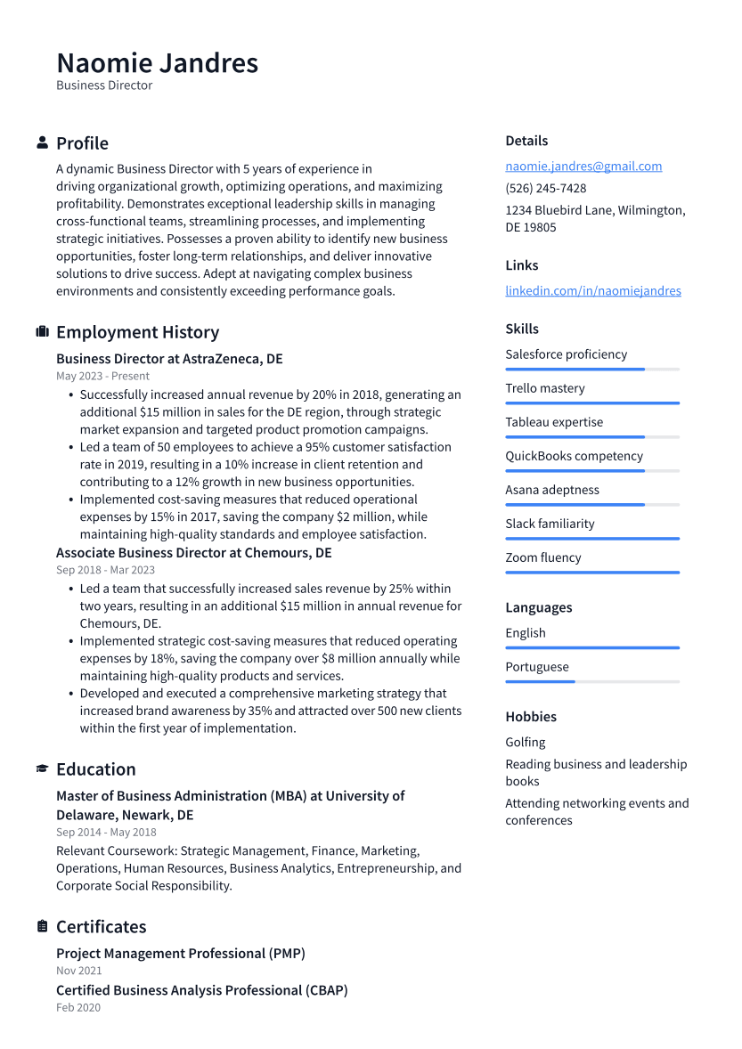 Business Director Resume Example