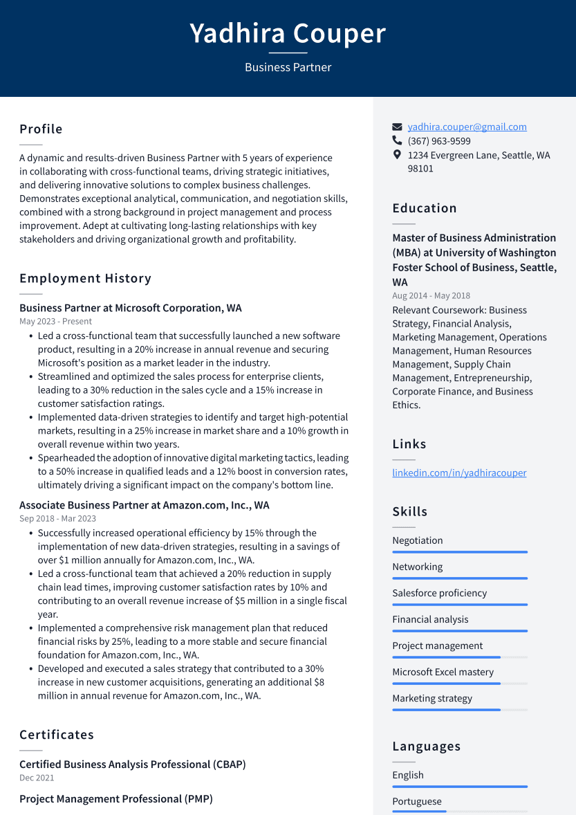 Business Partner Resume Example