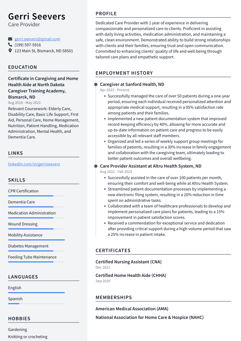 Care Provider Resume Example