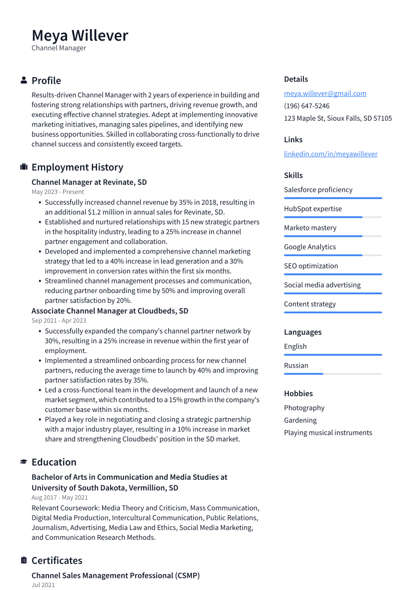 Channel Manager Resume Example