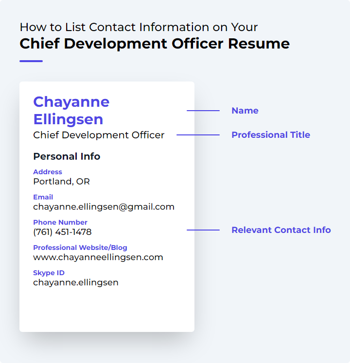 Chief Development Officer Resume Contact Information Example