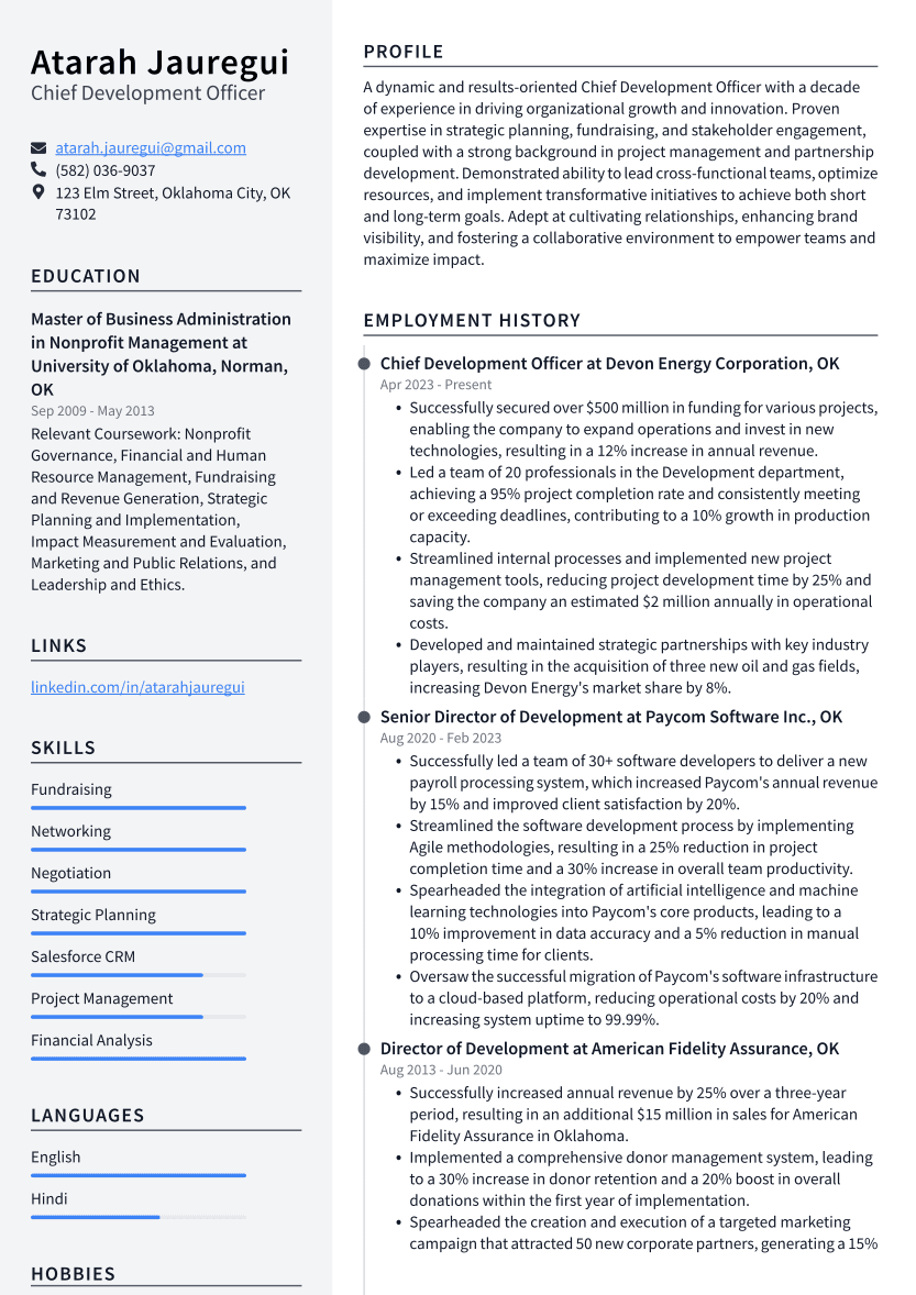 chief-development-officer-resume-examples-and-templates