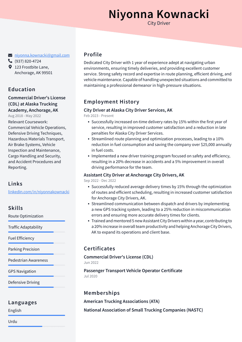 City Driver Resume Example