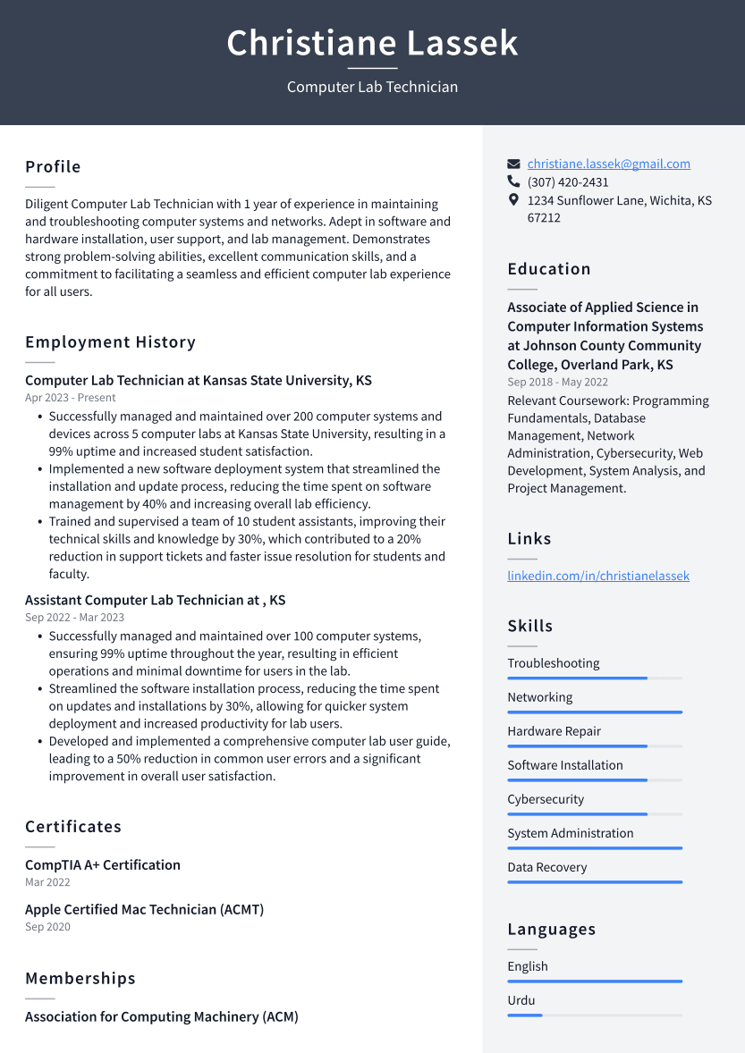 Computer Lab Technician Resume Example