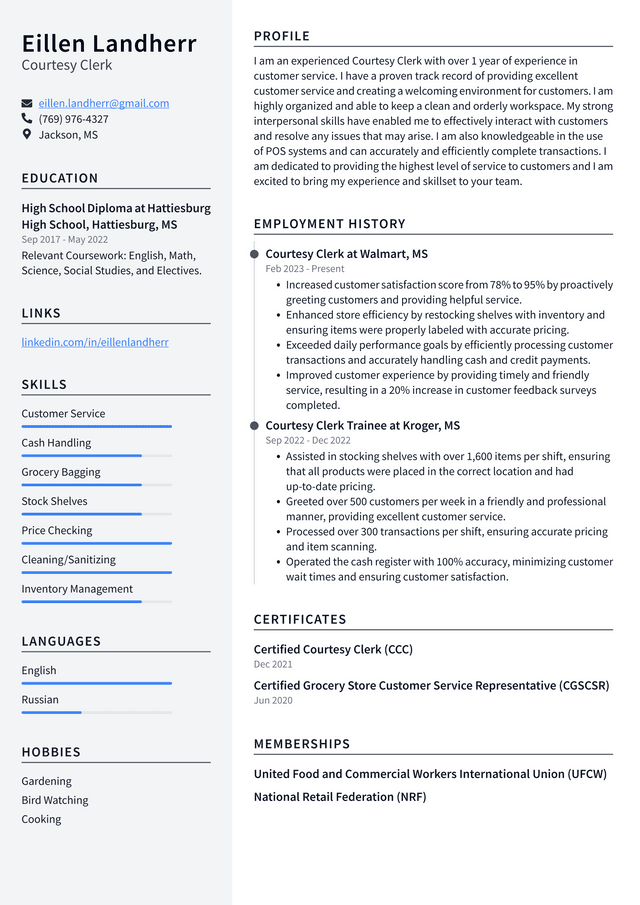 CVS Courtesy Clerk Resume Example