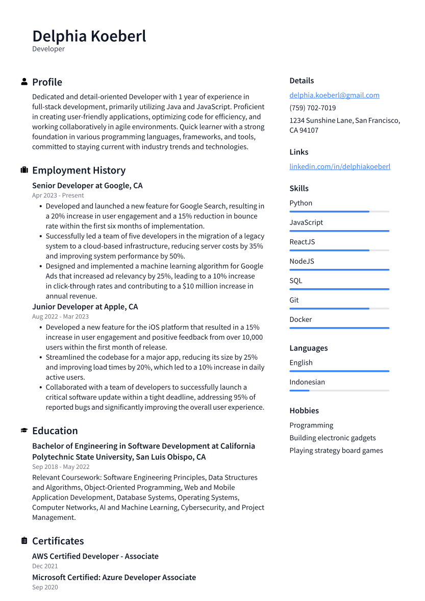 Developer Resume Example