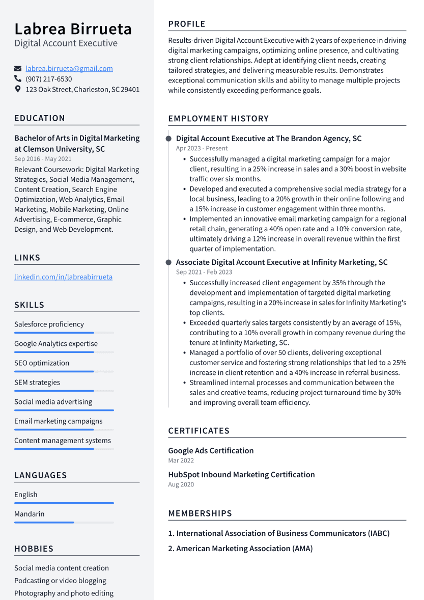 Digital Account Executive Resume Example