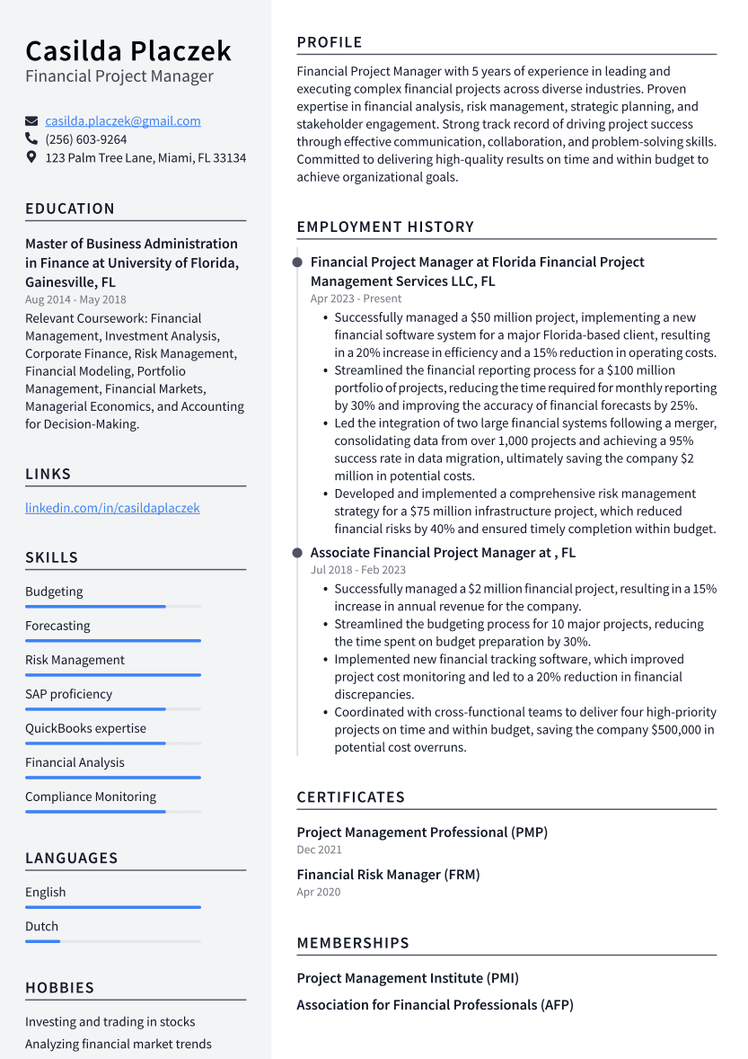 Financial Project Manager Resume Example