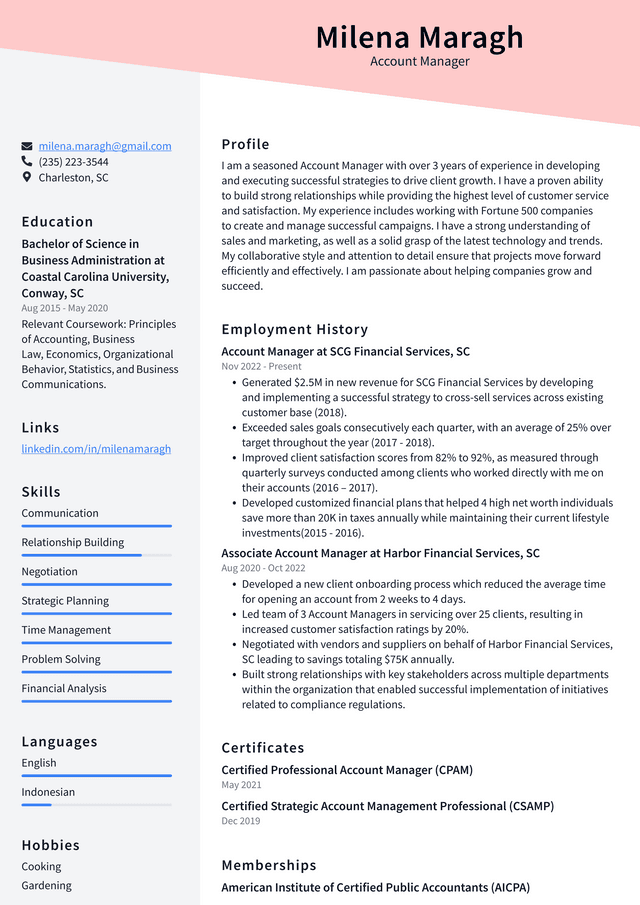 Google Account Manager Resume Example