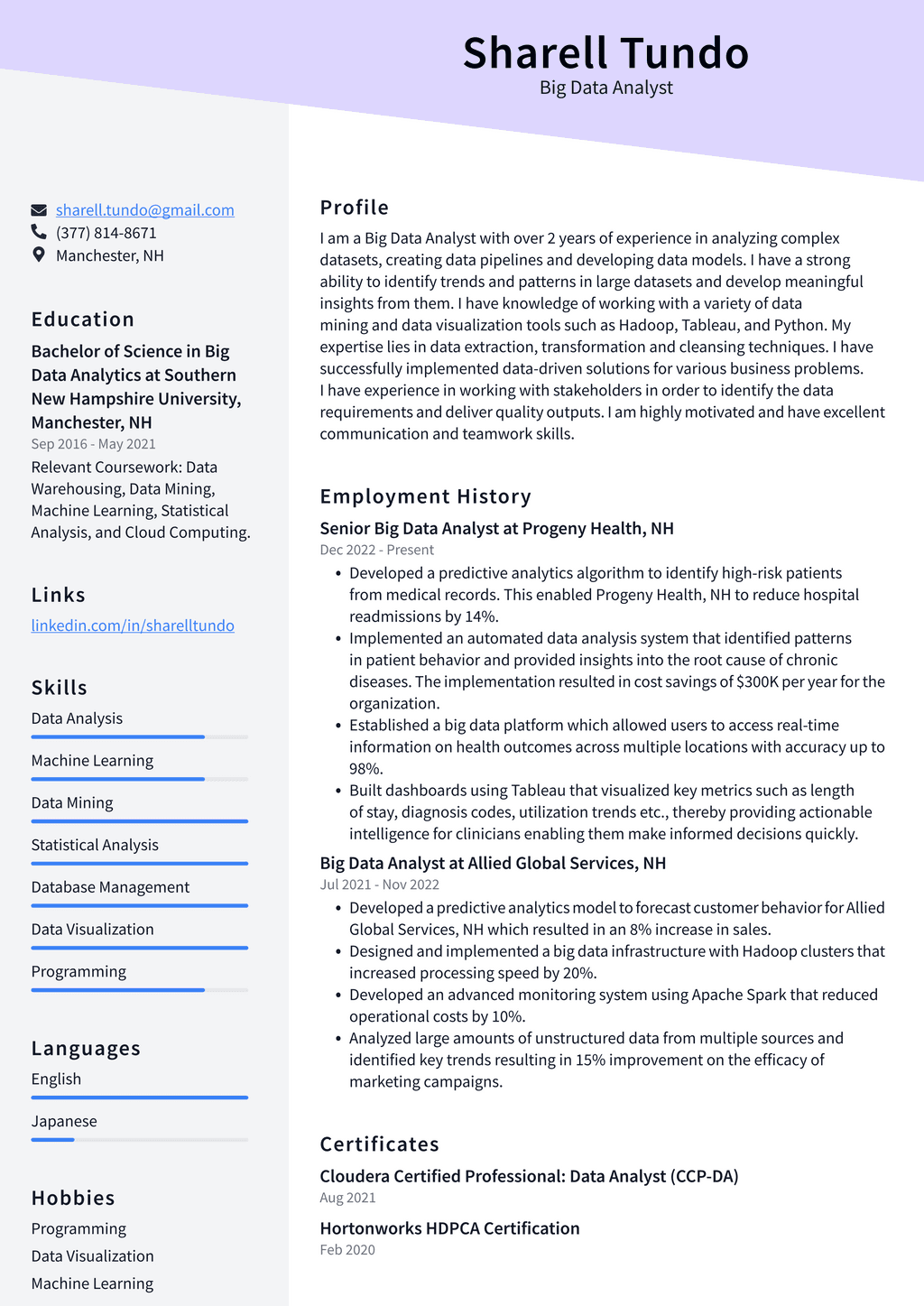 Google Big Data Analyst Resume Examples ResumeCat