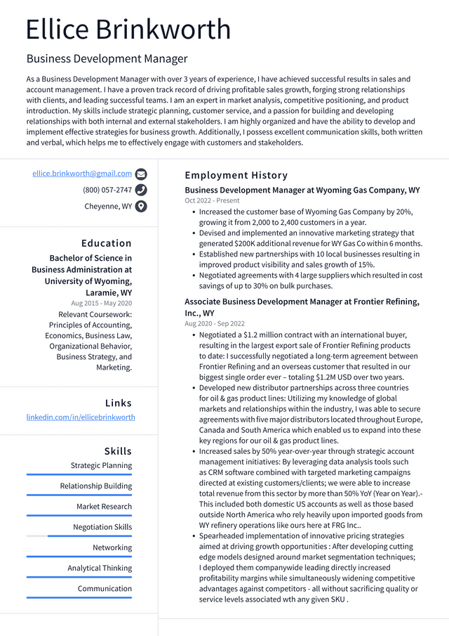 Google Business Development Manager Resume Example