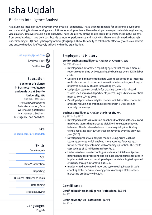 Google Business Intelligence Analyst Resume Example
