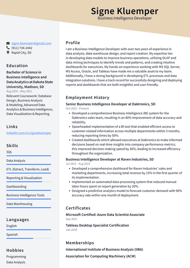 Google Business Intelligence Developer Resume Example