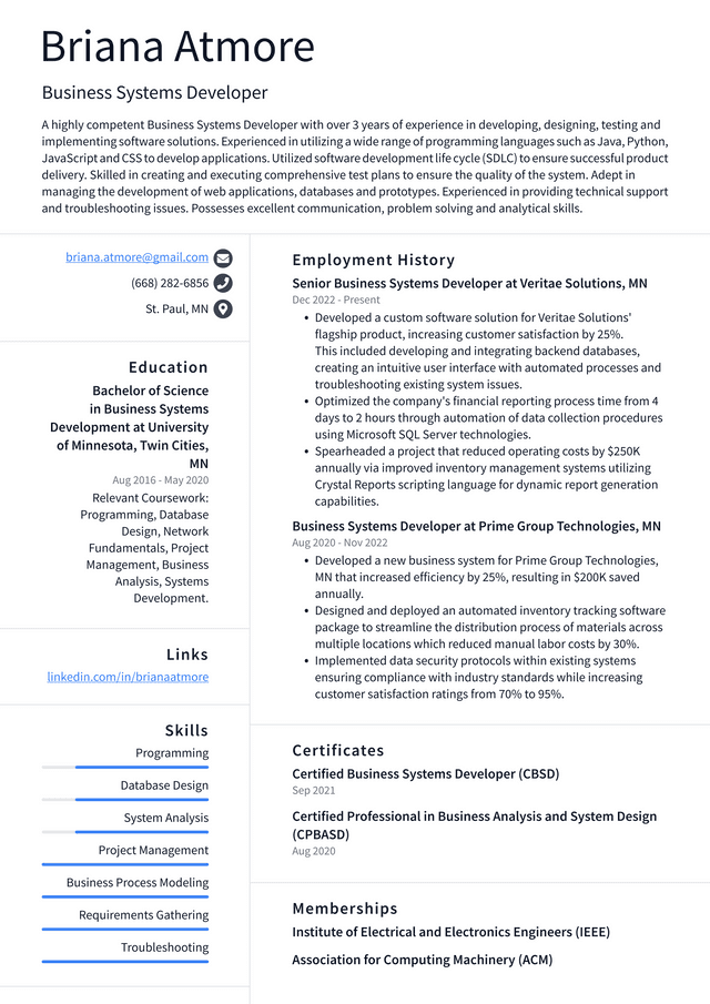 Google Business Systems Developer Resume Example