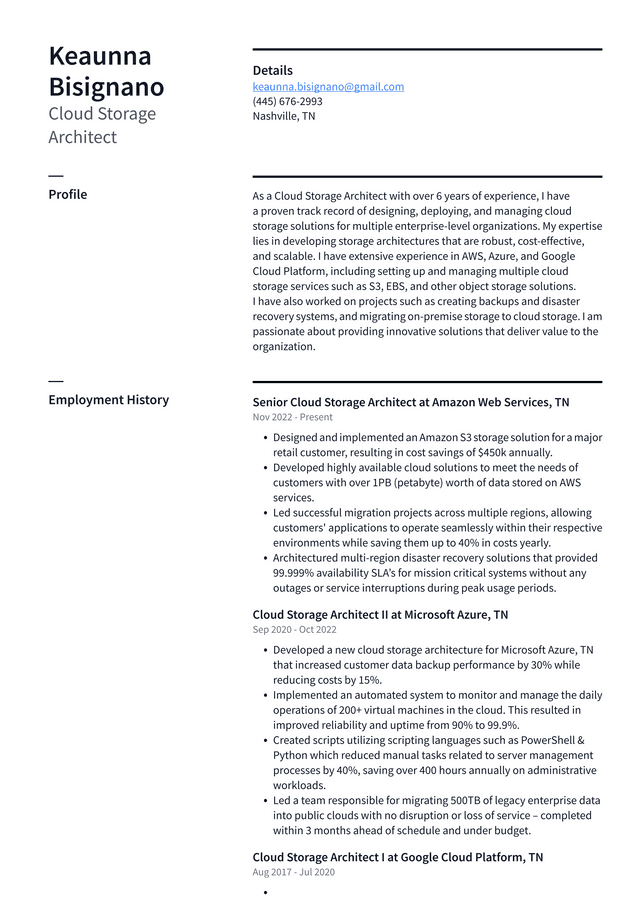 Google Cloud Storage Architect Resume Example