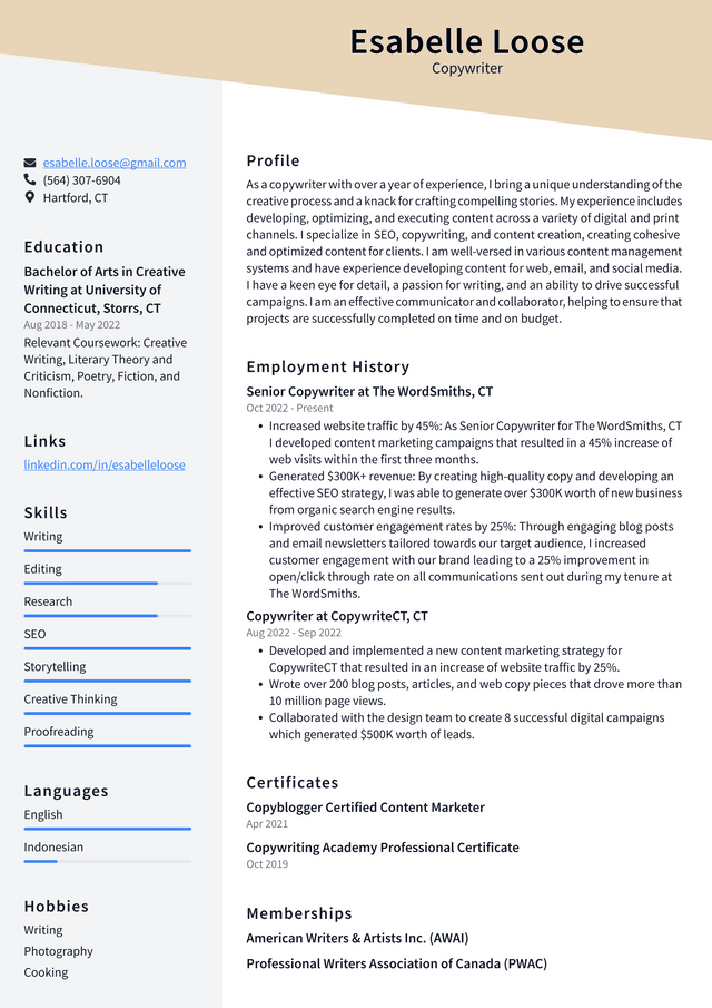 Google Copywriter Resume Example