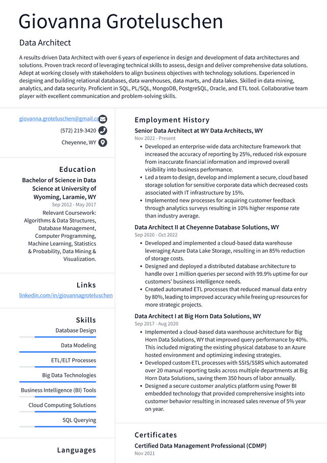 Google Data Architect Resume Example