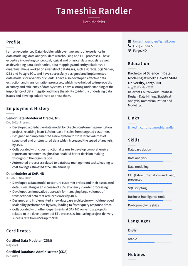 Google Data Modeler Resume Example