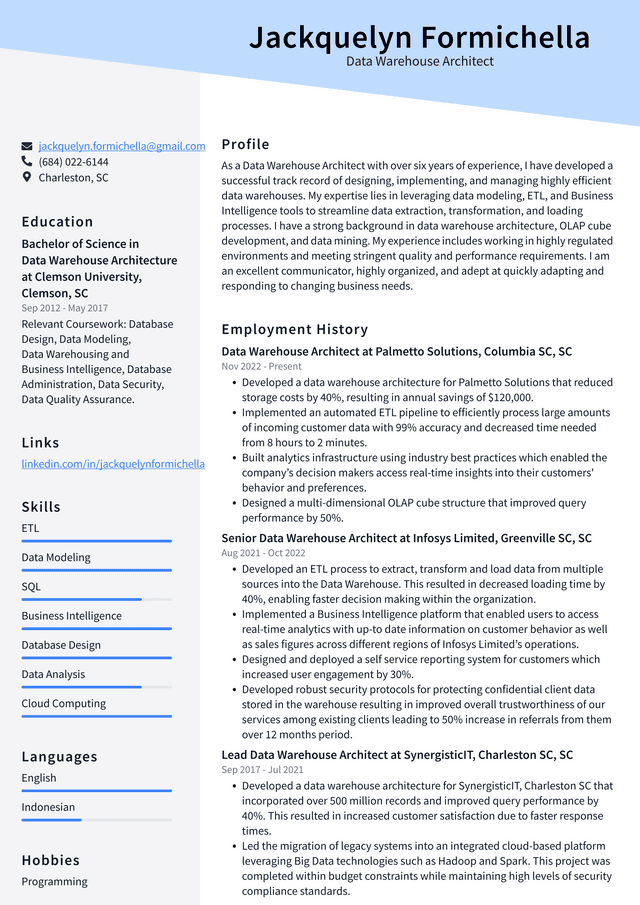 Google Data Warehouse Architect Resume Example