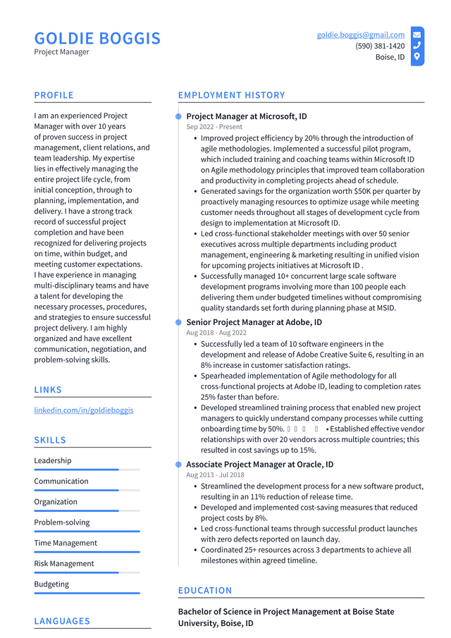 Google Project Manager Resume Example