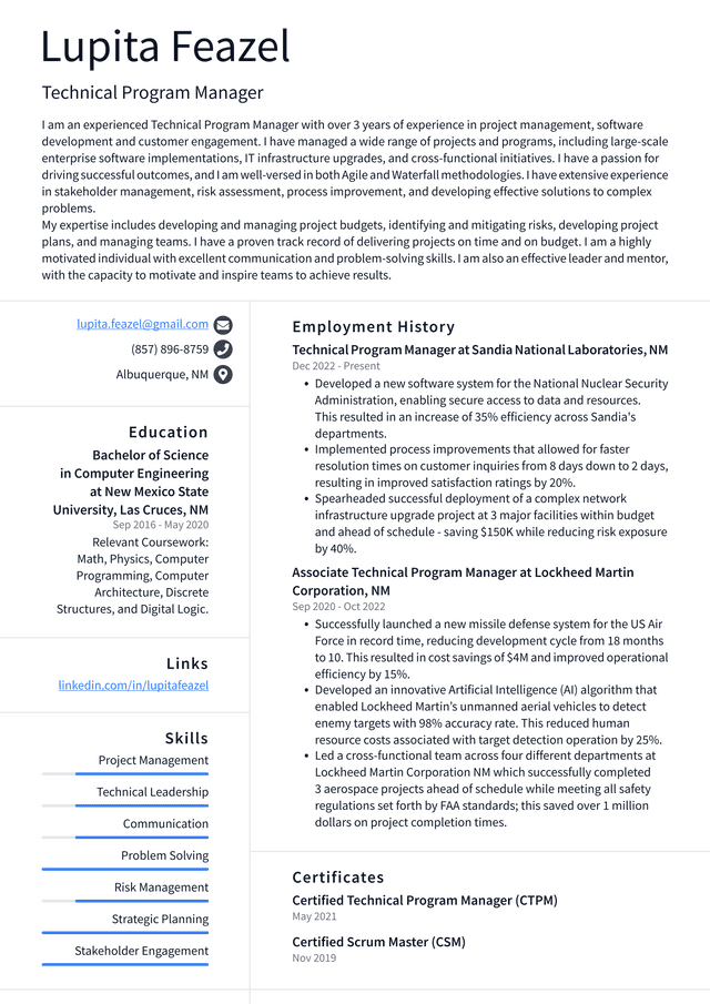 Google Technical Program Manager Resume Example