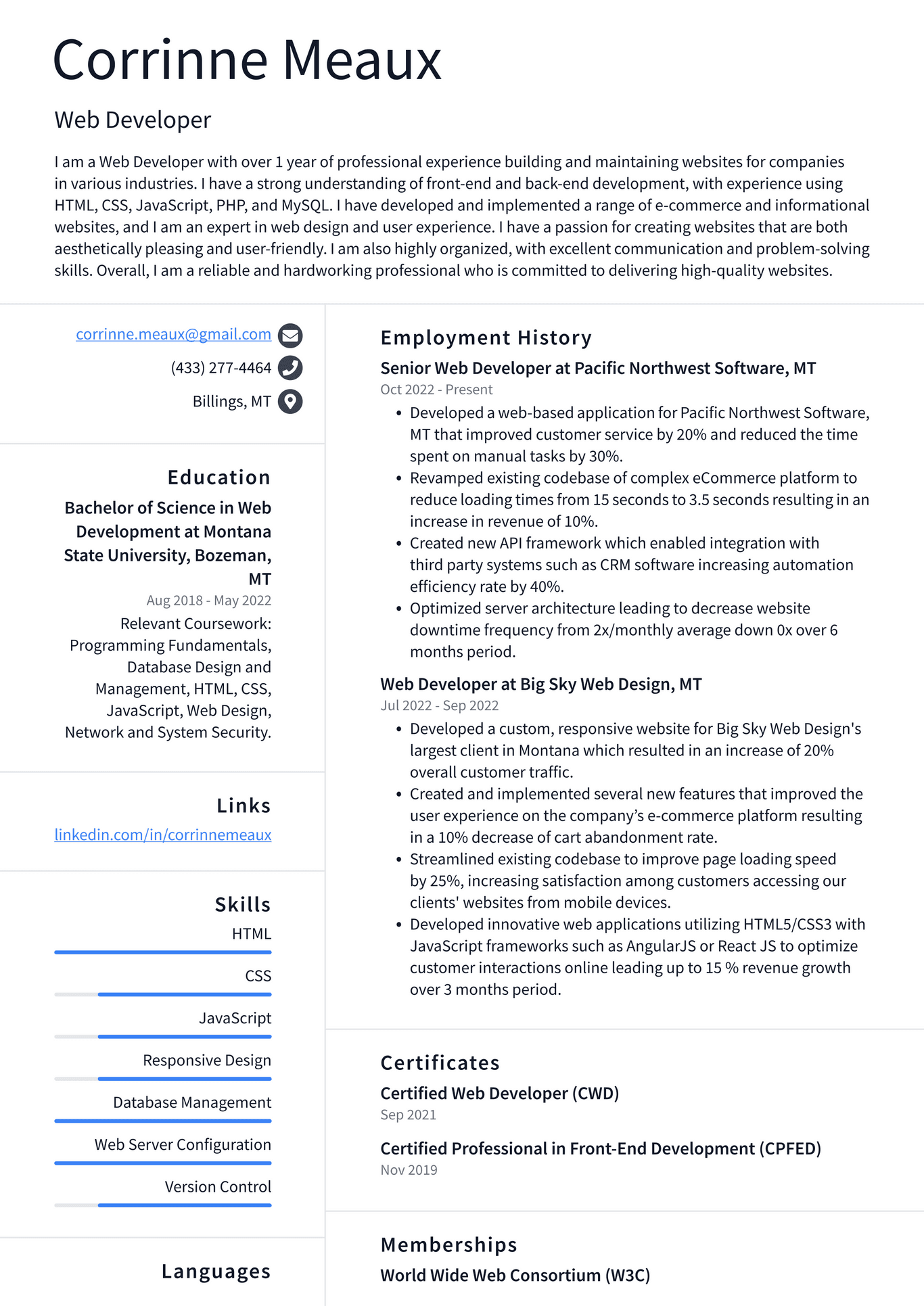 Webmethods Resume Example Google Web Developer Resume Examples | ResumeCat
