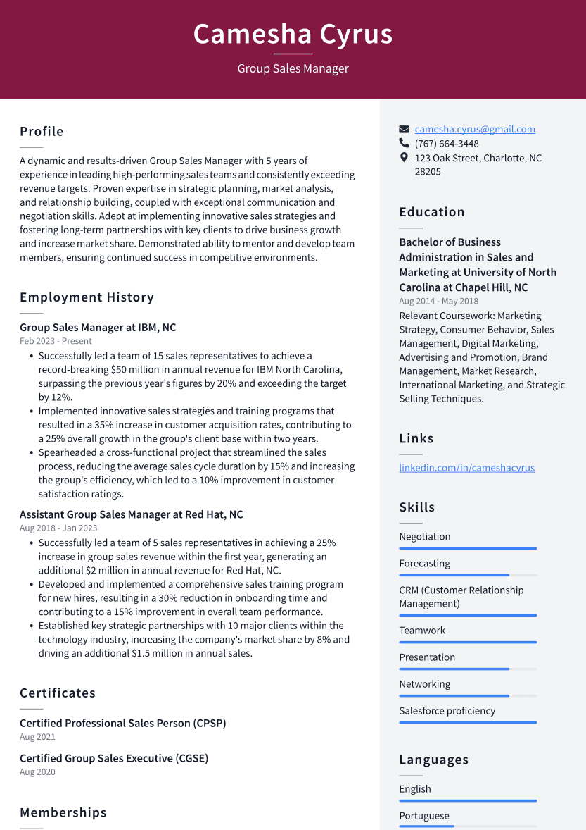 Group Sales Manager Resume Example