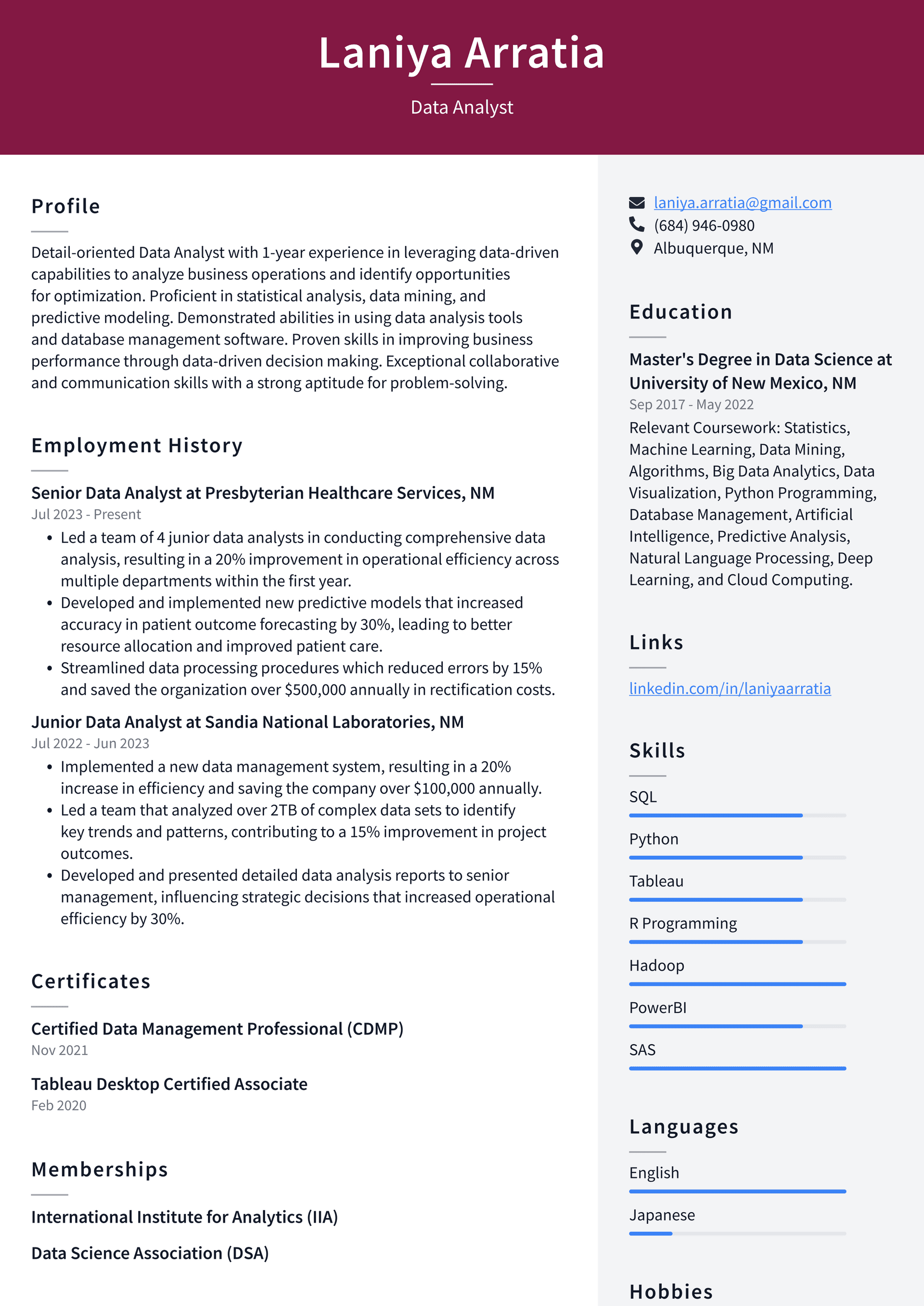 IBM Data Analyst Resume Examples | ResumeCat